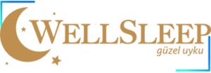 Aspendos Wellsleep – Tekhiz web tasarım referansı
