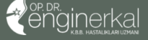 Op. Dr. Engin Erkal – Tekhiz web tasarım referansı